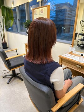 ヘアーポケット リタ(HAIR POCKET ritta) つや感赤みブラウンボブ