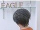 ヘアーサロンイーグル(Hair Salon Eagle)の写真/明るい白髪染めや立体感を叶えるハイライト、頭皮に優しいオーガニックカラーなどあります♪厳選薬剤使用◎