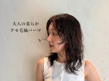 リンダ(Linda)の写真