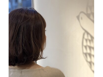 コトリ(cotori)の写真