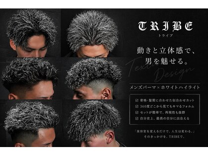 トライブ(TRIBE)の写真