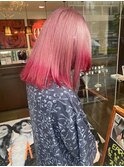 セクションカラー