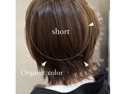 コンコードヘアー(Concord Hair)の写真