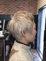バイナル グレイヘアショート　　金子