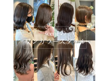 scene【シーン】