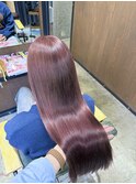 ピンクラベンダー