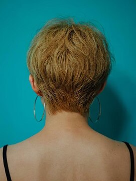 カラーサロンビスカリア 相模原エリア 淵野辺駅店(Color salon Biscaria) ハイトーンショート