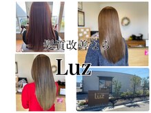 ルース 新成店(luz)