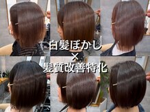 レディオ ザ イシン(LeDio the ISIN)