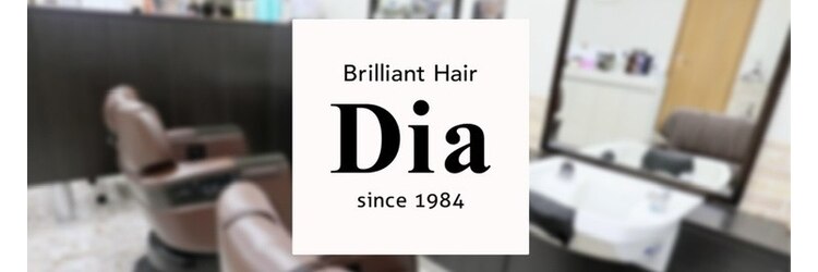 ブリリアント ヘアー ダイヤ(Brilliant Hair Dia)のサロンヘッダー