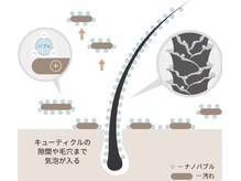 【毛穴までスッキリ】