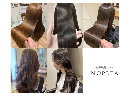 モプレア(MOPLEA)の写真