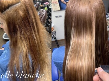 エル ブランシュ elle blancheの写真