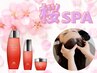 新規限定【桜の香りに癒されて♪】　カット+カラー+3stepTR+スパ　￥11900