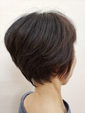 シャンディア(SHANDIA) ヘルシーショート