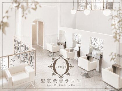 オルガ(oruga)の写真