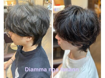 ジャンマンガファナン(Diamma nga fanann)の写真