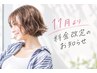11月1日より料金改定