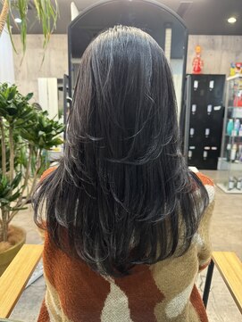 ルーナヘアー(LUNA hair) 『京都 ルーナ』黒髪シルバー レイヤー 20代30代