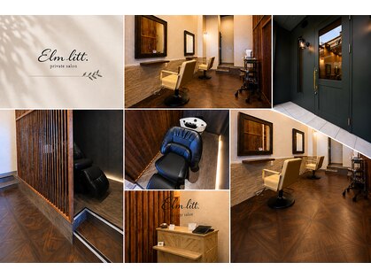 エルムリット(Elm litt.)の写真