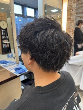 アルターリアン(aL ter LieN) ウルフ/アッシュブラック/カルマパーマ／ベリーショート宮野翔