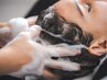 Head spa 40min 【For foreigners only】