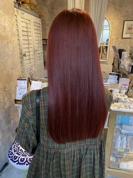 コルプア(corpua) ボルドーカラー