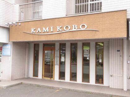 カミコウボウ KAMIKOBOの写真