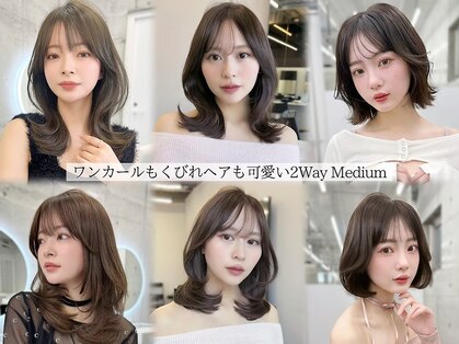 フォンズ(FONS)の写真