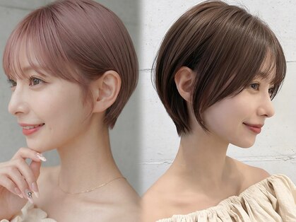 レド(LeDo)の写真