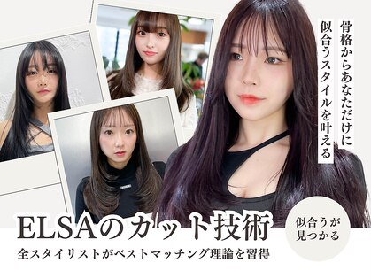エルサ(Elsa)の写真