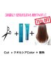 【髪質改善75%OFF】カット+カラー+酸熱TR＋ウルトラファインバブル