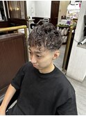 シルバーメッシュ