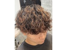 シープ(The Salon Sheep)