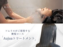 ラ・ミュール La.Murの雰囲気（Aujua取扱店【豊橋駅/豊橋】髪質改善[白髪染め/ヘッドスパ/ボブ]）