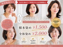 カラープラス 丹波橋店