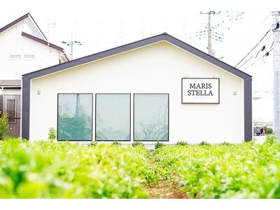 マリスステラ (MARIS STELLA)