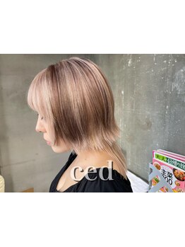 人気メニューを平日限定priceで♪土日よりもゆったりお過ごし頂ける平日のご利用もオススメ◎