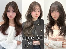 パーヴミックスネム(ParveMix NEMU)