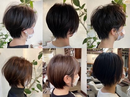 シロ(Shiro)の写真