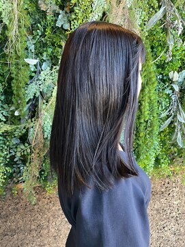 ノーブルヘアー(NOBLE HAIR) マロンブラウン