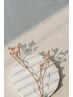 【リピート率No.1＊】カット+カラー+選べる髪質改善トリートメント￥14000
