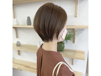 ヌール(Nuru)の写真