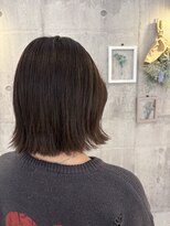 トルチュディジャンナ(Tortue de Janna)&nbsp;ボブ