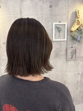 トルチュディジャンナ(Tortue de Janna) ボブ