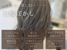 マーシュ(MARSH)の雰囲気（隠すから、楽しむ「白髪ぼかし」へ♪）