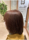 さらつや☆人気色♪ナチュラルブラウン7トーン/12