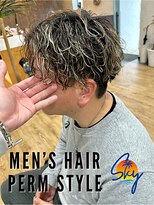 スカイ(SKY)&nbsp;ツイスパ/波巻き/眉毛/バーバー/ニュアンスパーマ/ブリーチ