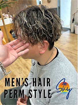 スカイ(SKY) ツイスパ/波巻き/眉毛/バーバー/ニュアンスパーマ/ブリーチ