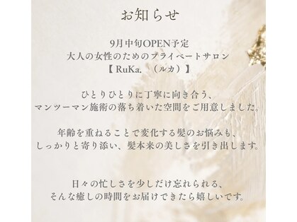 シエスタ Siestaの写真
